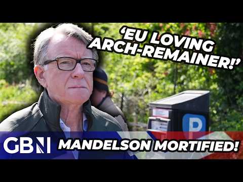 Peter Mandelson HUMILIATED as EU to launch investigation – ‘Pursued by the very thing he loves!’