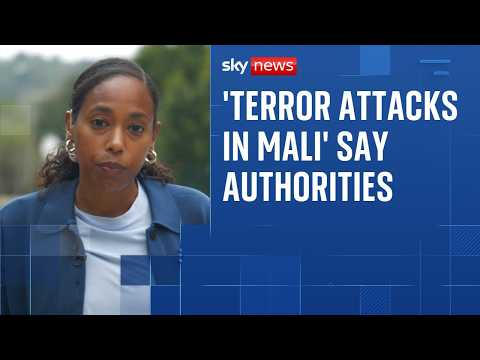 Terrorists have carried out attacks in various locations across Mali, says army