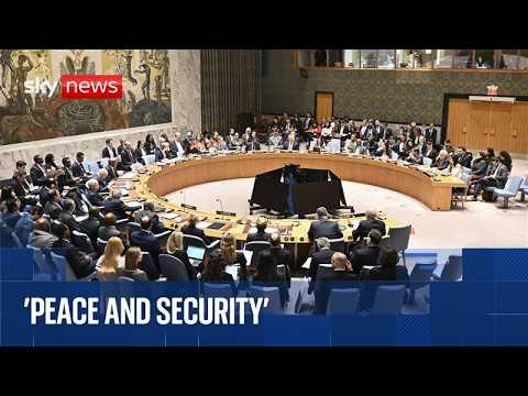 UN Security Council debates maritime security in Strait of Hormuz