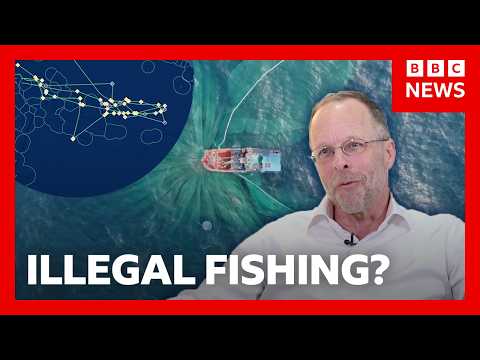 Inside the mission to track global fishing | BBC News