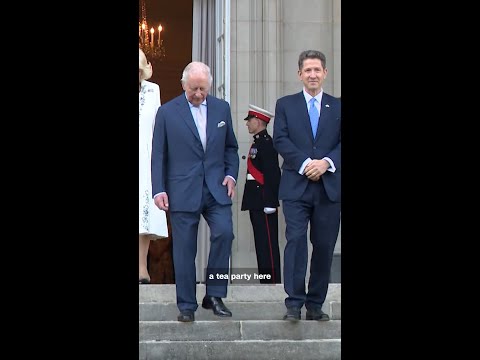 British Royals attend garden party at the UK ambassador’s residence