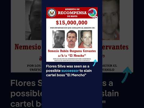 Mexico arrests drug cartel leader “El Jardinero” | DW News