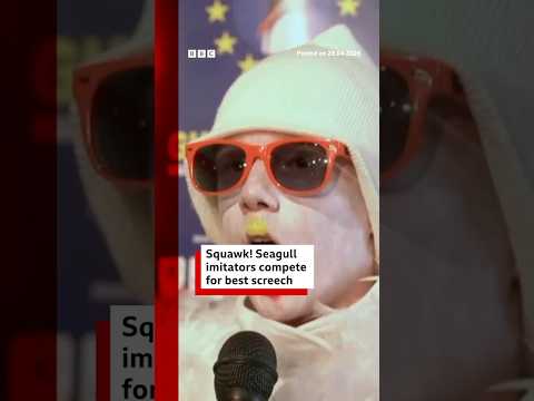 Seagull imitators compete for best screech at European championships. #Seagull #Belgium #BBCNews