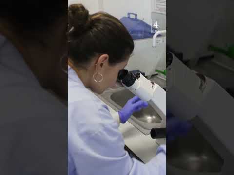 Rising cancer rates in younger adults