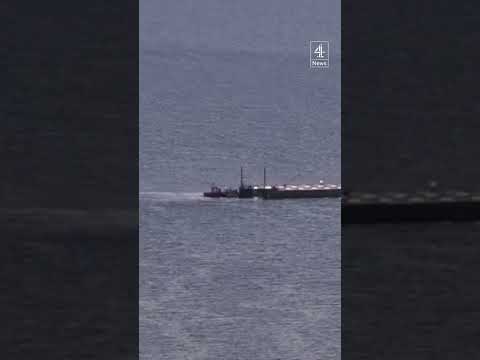 Stranded whale returned to North Sea