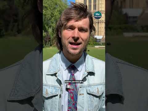 What is tactical voting?