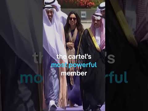 United Arab Emirates leaves OPEC – what does this mean? | DW News