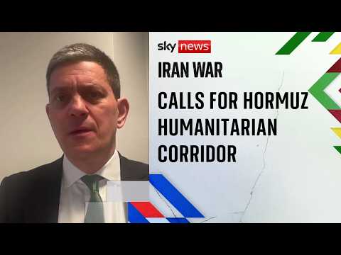 David Miliband calls for action to allow urgent aid through Strait of Hormuz
