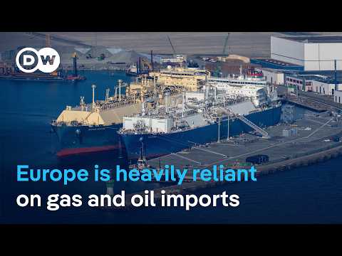 What measures could EU countries consider to reduce fuel demand? | DW News