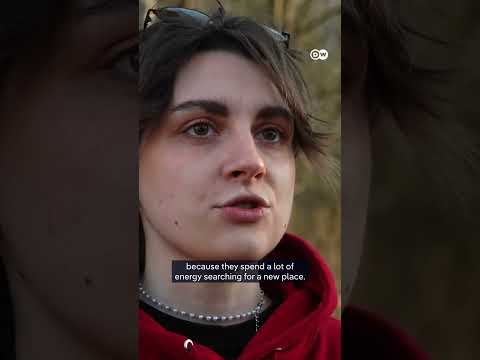 Ukrainians release bats saved from war | DW News