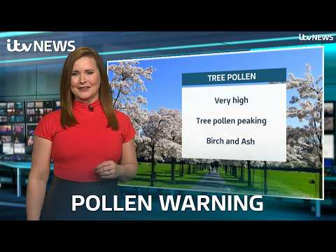 UK Weather: Why is hay fever so bad at the moment?