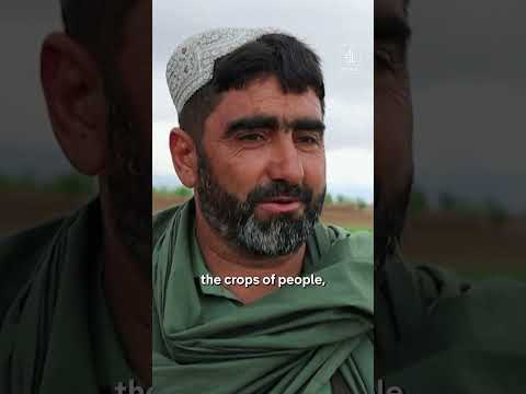 Afghanistan floods kill over 100