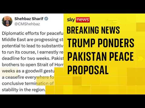 Pakistan calls for two-week ceasefire as Trump’s Iran deadline looms