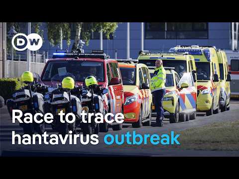 ‘There are always blind spots in contact tracing’ – Epidemiologist on hantavirus | DW News