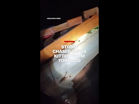 Storm chaser saves kitten from tornado rubble
