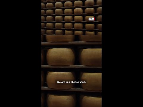 Parmesan in this ‘cheese bank’ is worth millions