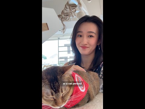 East Asia sees cat ownership boom