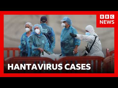 US and French nationals test positive for hantavirus after leaving cruise ship | BBC News