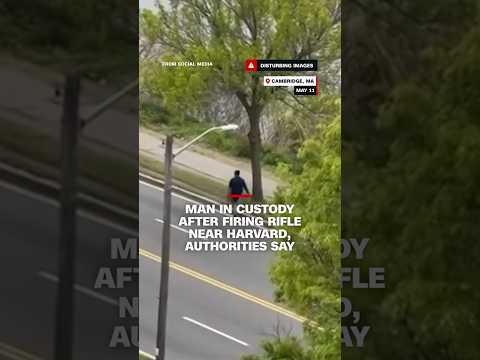 Man in custody after firing rifle near Harvard, authorities say