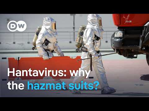 Hantavirus: When should we worry? | DW News