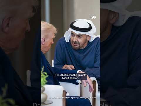 Did the UAE choose the wrong partners? The UAE’s risky alliances | DW News