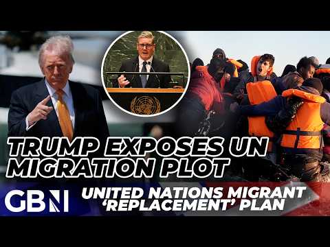 US blows lid on UN ‘replacement’ plot to stop illegal migrants being deported from Britain