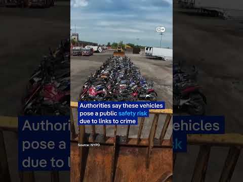 New York’s crackdown on illegal mopeds | DW News