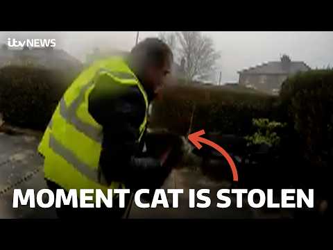 Watch the moment delivery driver steals cat from front garden