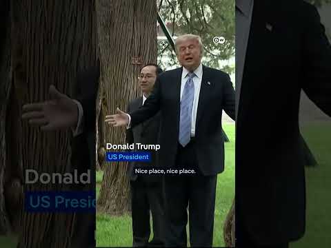 Trump and Xi: A Budding Bromance? | DW News