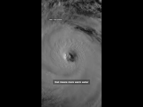 Pacific hurricane season begins with a wild card