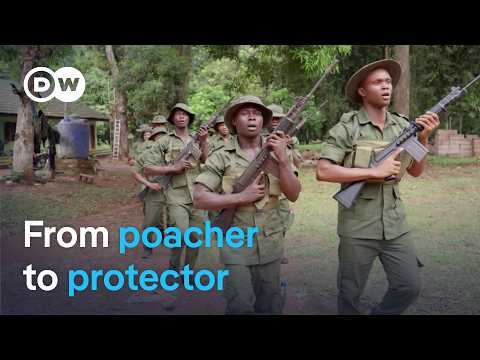 Former poachers in Nigeria find redemption as forest rangers | DW News