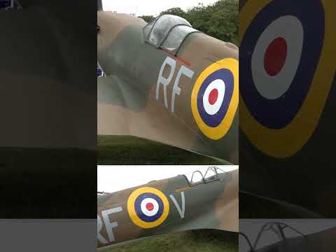 Spitfire could return to production