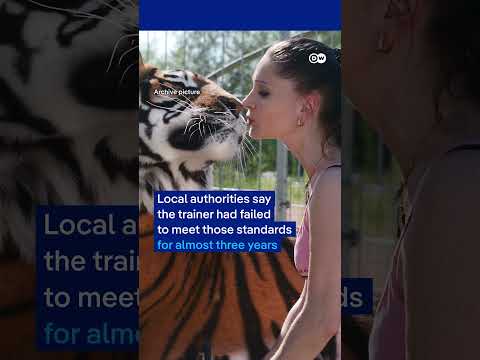 Tiger shot dead in Germany after escaping enclosure | DW News