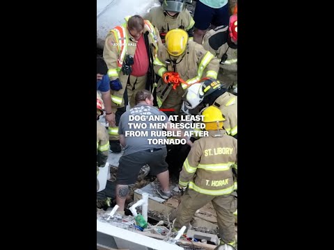 Dog and at least two men rescued from rubble after tornado