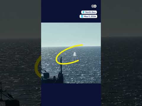 Timmy the humpback whale is free! | DW News