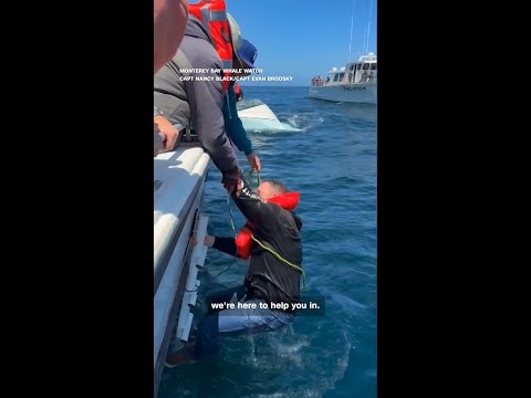 Whale watching crew rescues two after boat capsizes