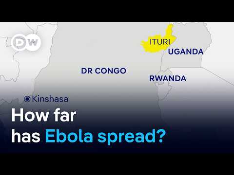 Rare strain of deadly Ebola virus went undetected for weeks in DR Congo | DW News