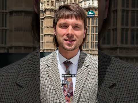 Why has an ex-MP been appointed to the Three Hundreds of Chiltern?