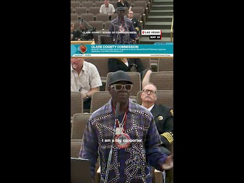 Flavor Flav needed an introduction