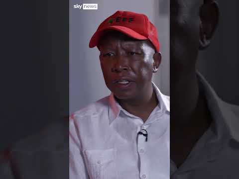‘There is no xenophobia in South Africa,’ opposition leader tells Sky News