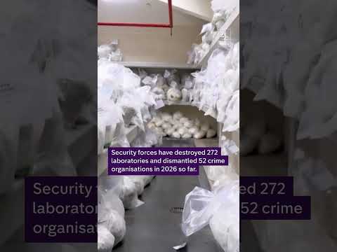 Peru destroys 11 tons of illegal drugs