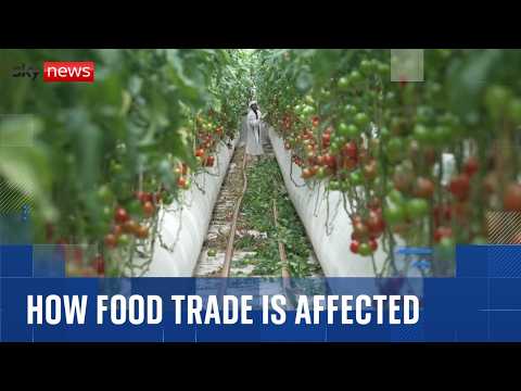 How Iran war is reshaping global food trade