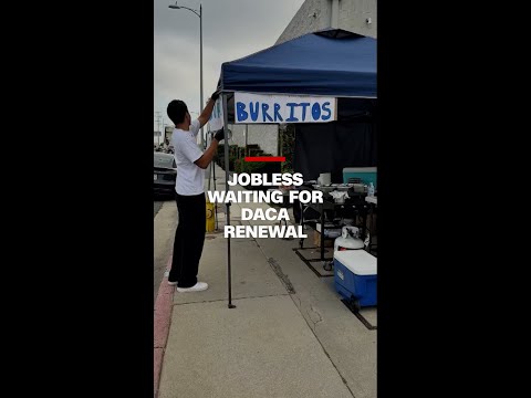 Jobless DACA recipient selling burritos while waiting for approval