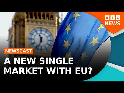 Could A Brexit Reset Mean A New Single Market? (Live At Hay Festival!) | BBC Newscast