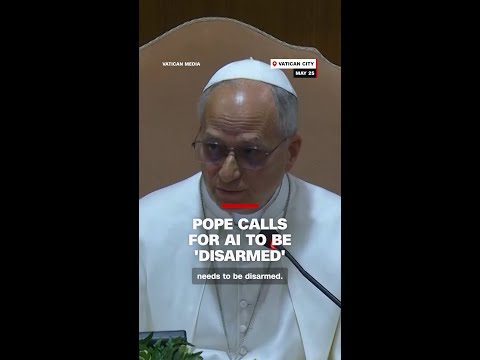 Pope calls for AI to be ‘disarmed’