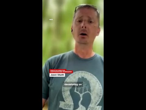 Dead fish found in Georgia river after heavy rainfall