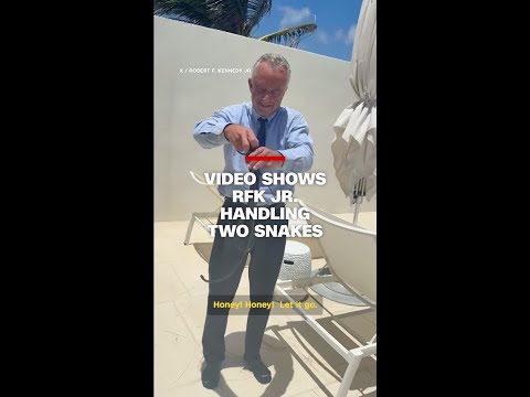 Video shows RFK Jr. handling two snakes