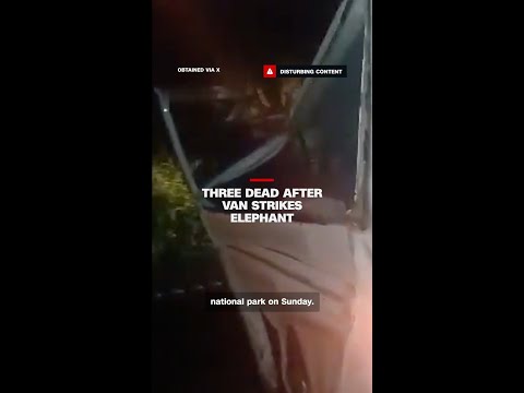 Three dead after van strikes elephant