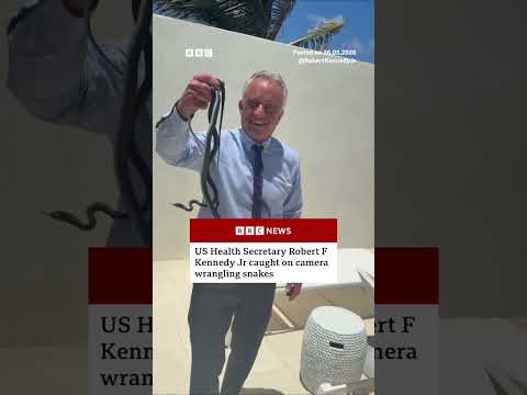 RFK Jr caught on camera wrangling snakes at Dr Oz’s beach house. #Florida #BBCNews