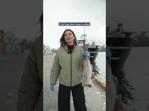 Hooked on cod: Why Norway’s collaboration with Russia is a security threat for Europe | DW News